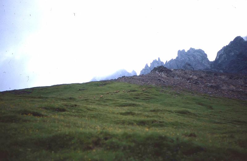 boden (96).JPG - EPSON MFP image